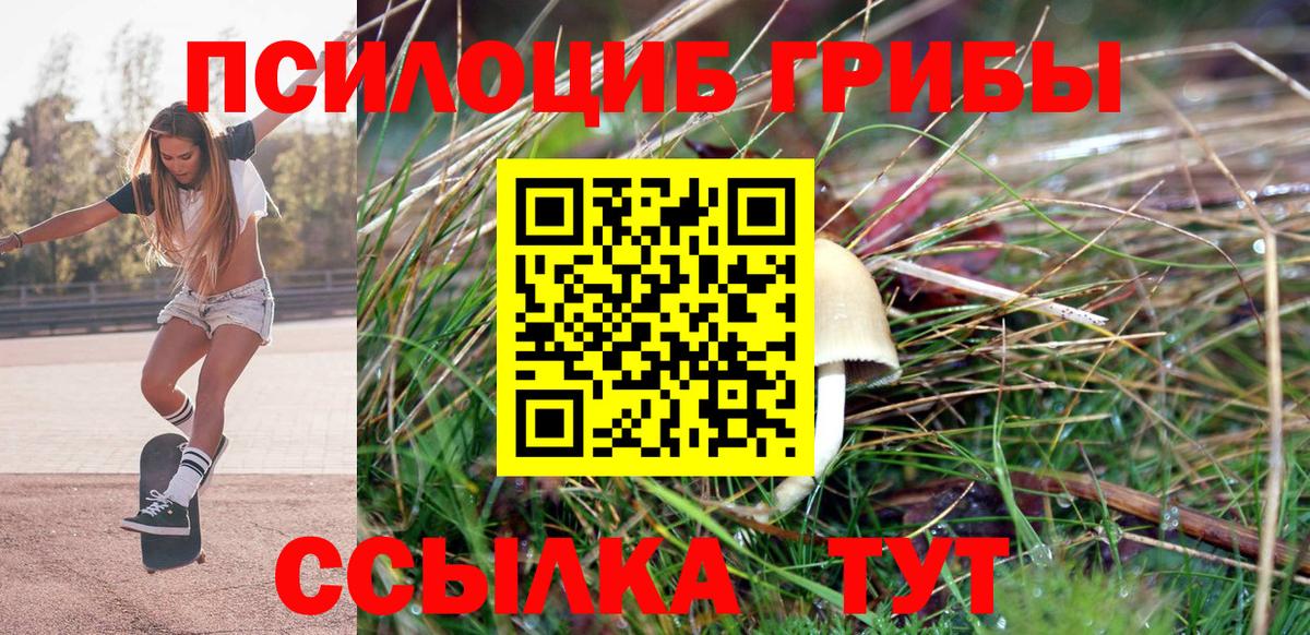 Псилоцибиновые грибы GOLDEN TEACHER Острогожск
